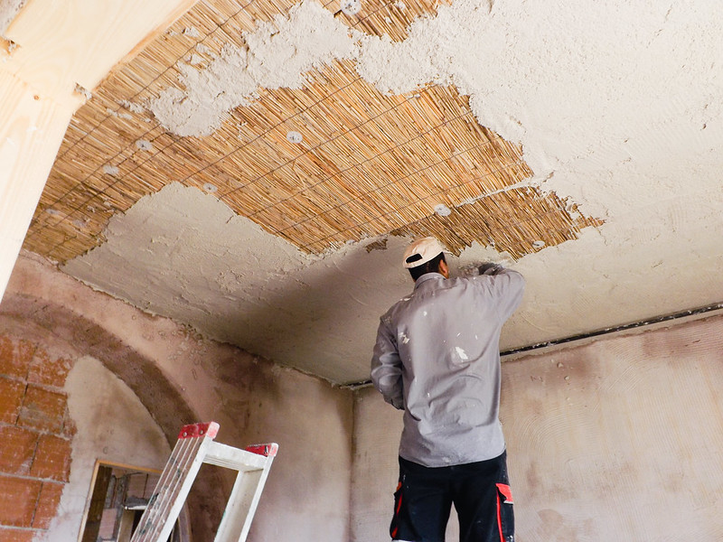canna_palustre_soffitto